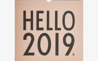 Het nieuwe jaar 2019 is gestart